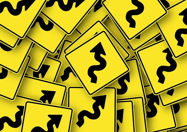 Cost-Effective Solutions for Duplicate Title Management with Lienholders