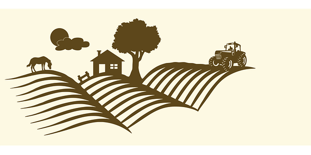 Revolutionize Your Titles: Paperless Process for Efficient Management