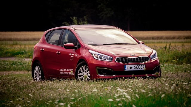 Quickly Register Your Car: Step-by-Step Guide