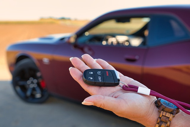 Future of Vehicle IDs: Safety, Transparency via Assigned VINs