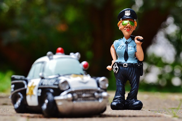 Verify VIN for Transfer: History Check Using Vehicle Identifier