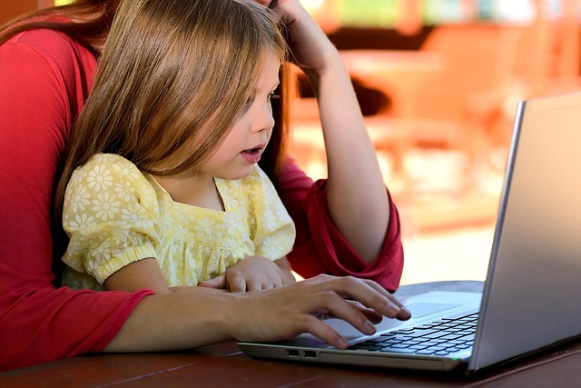 California DMV lien sale support