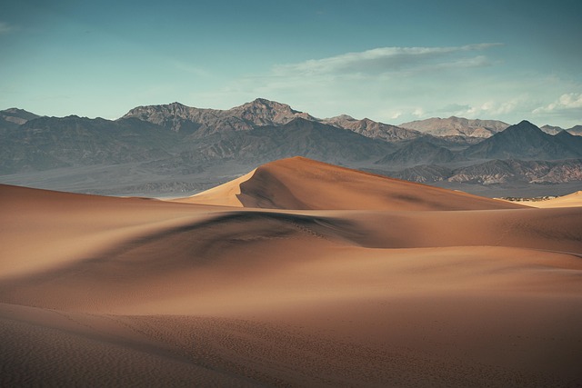 Guide to Purchasing California DMV Liens: Timeline & Steps
