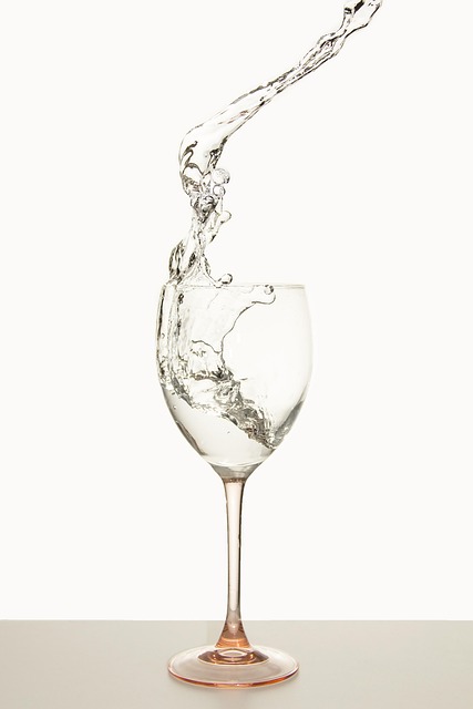 CHP VIN verification