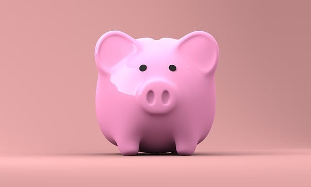 DMV financial responsibility program