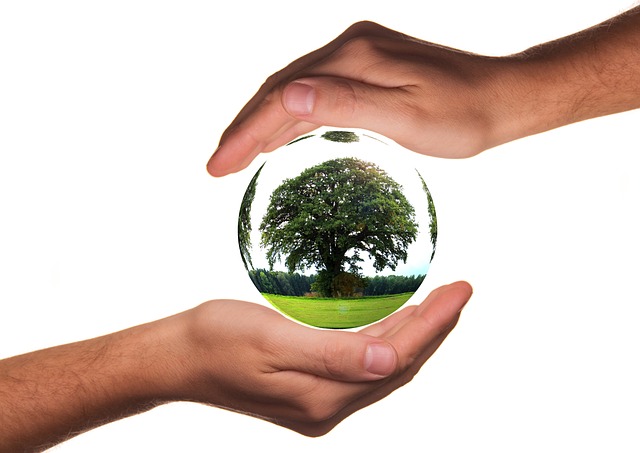 DMV financial responsibility requirements