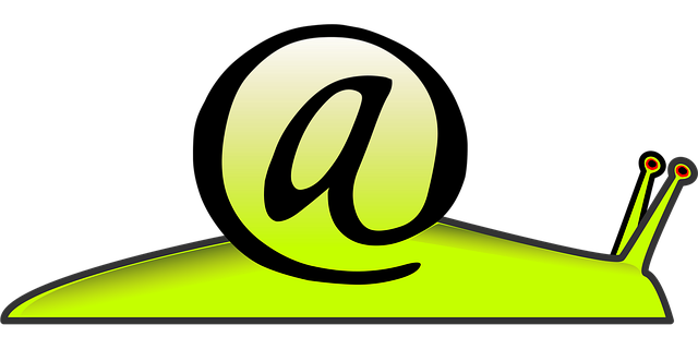 Streamline Your DMV Renewal: Top Sacramento Mail-In Services
