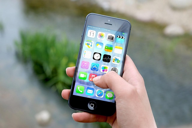 Seamless DMV Renewal: Phone Guide to Instant Car Quotes