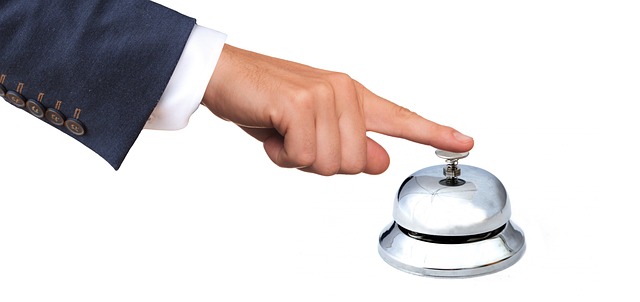 Seamless DMV Renewal: Expert Guidance, PayPal Payments