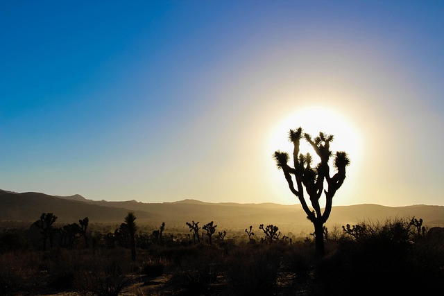 DMV Reinstatement Fee California: Guide to License Restoration