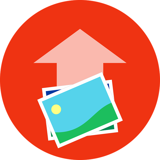 Seamless DMV Transfer: Prepare, Document, & Verify Accurately