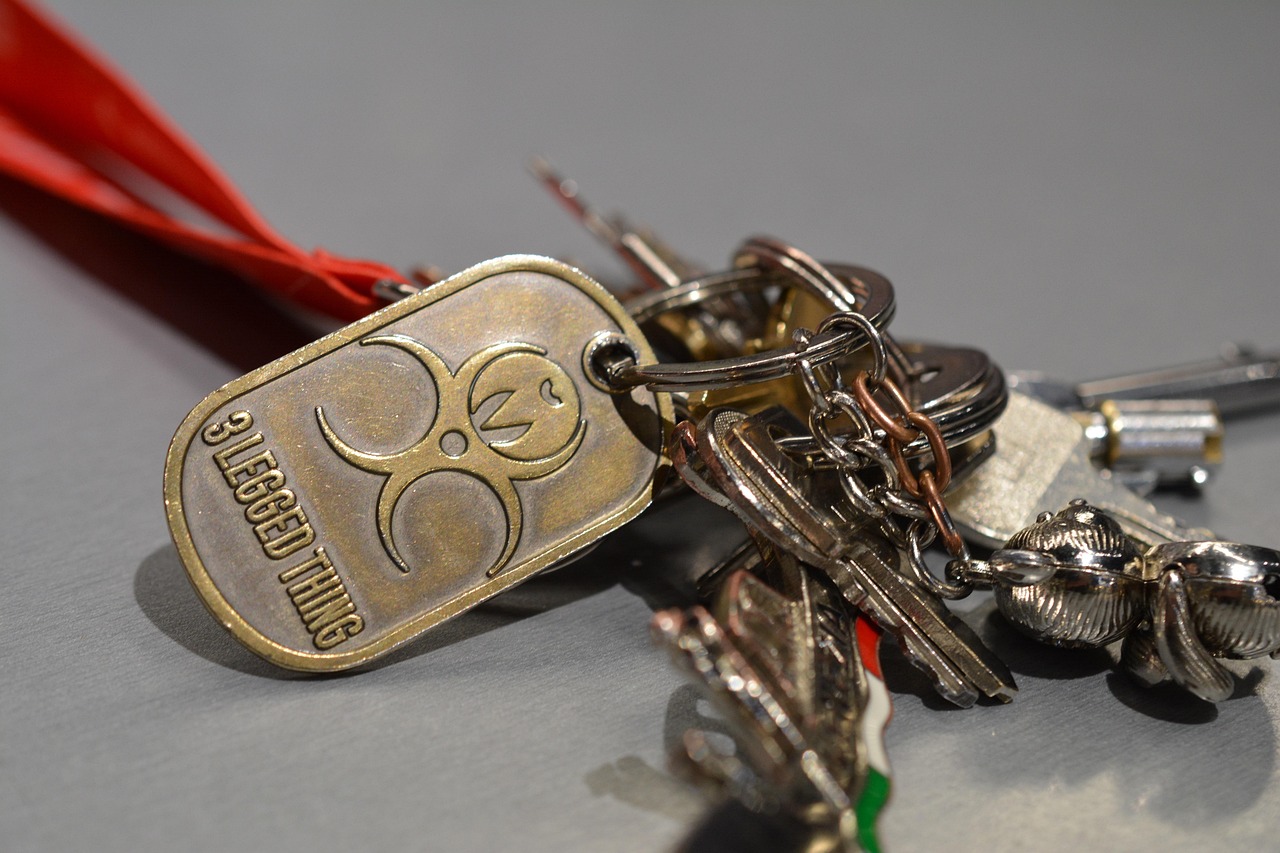 Explore Junkyards: Safety & Secrets of Vehicle Lien Sales