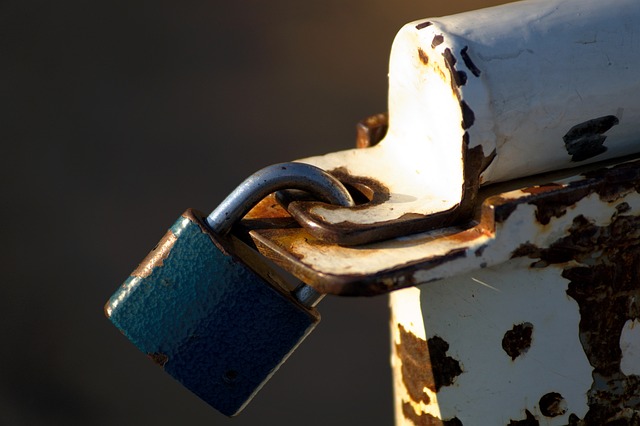 Unlock Your Policy Dreams: Free Consultation, Streamlined Follow-Up