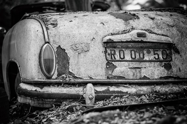 Renew License Plate Frames: Tips & Providers for Compliance