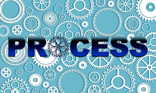 Lien sale process
