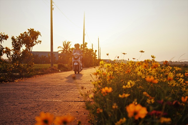 Motorcycle salvage title process
