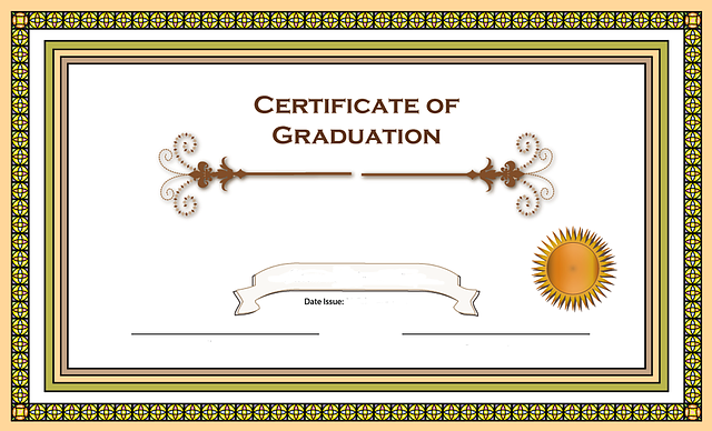 Guide to Nonrepairable Vehicle Certificate & Recycling