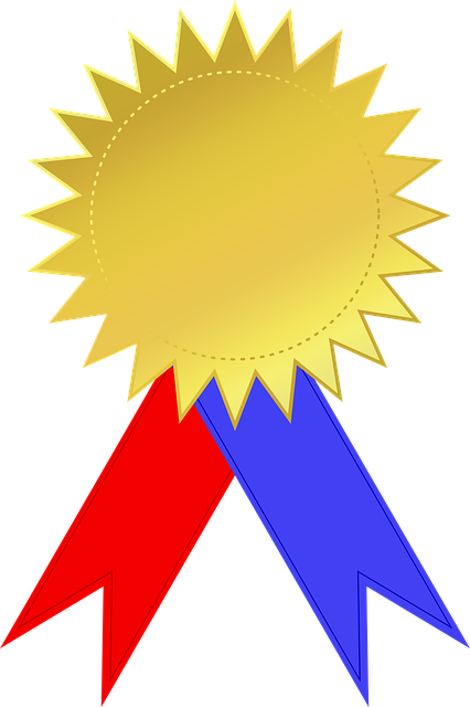 Nonrepairable vehicle certificate