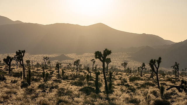 Unveiling California’s Non-Repairable Vehicle Events: A Comprehensive Guide