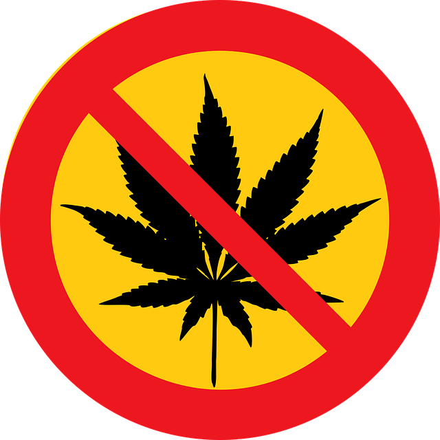 Nonrepairable vehicle restrictions