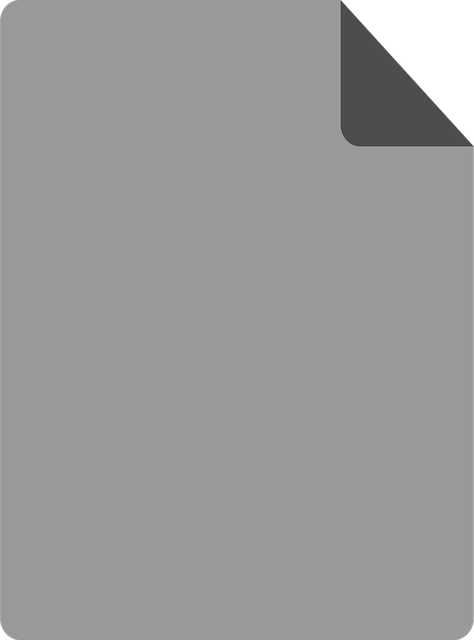 Notarized Documents: Secure Authentication for Global Recognition