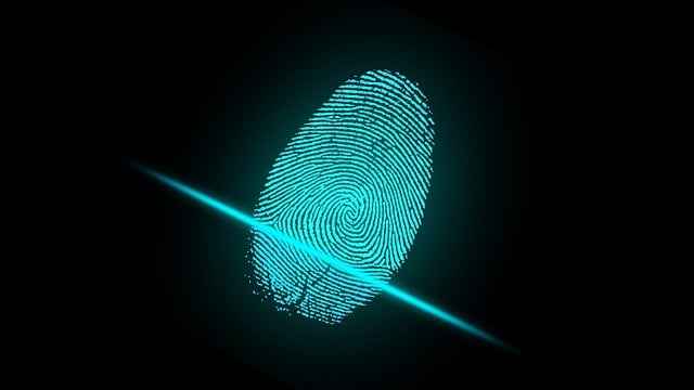 Schedule Trailer Marking: Permanent Identification Mastery