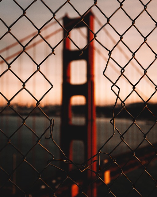 Schedule Visit: Register Vehicle, Print California Documents