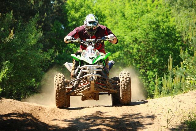 Mastering Rebuilt Vehicle Title Process with Local Experts