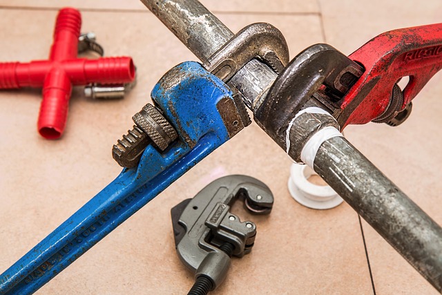 Riverside Mold: Inspection, Remediation & Repair Costs Guide