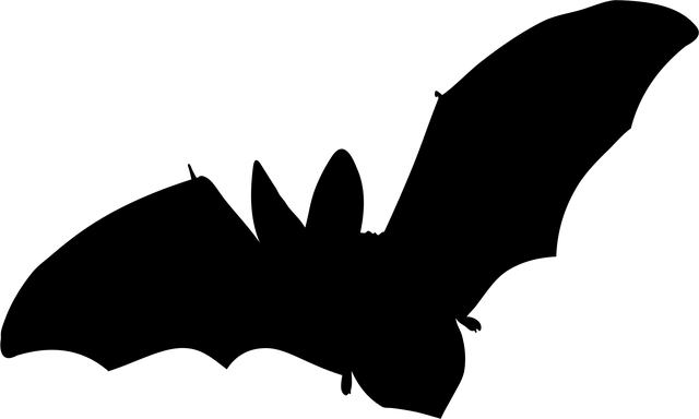 Riverside DMV registration without appointment
