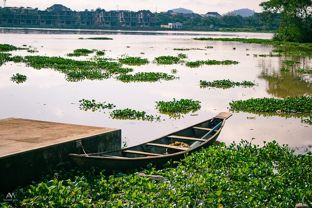 Riverside fast lien sale processing