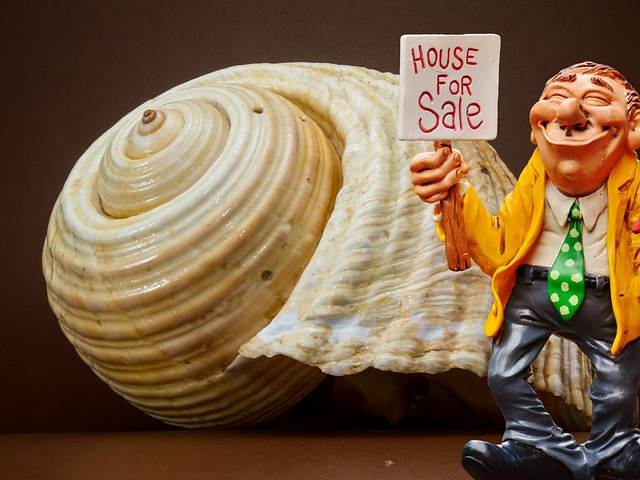 Riverside lien sale services