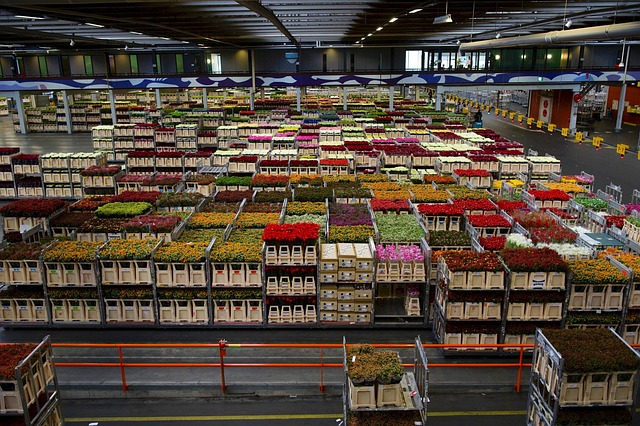 Storage facility lien sale process