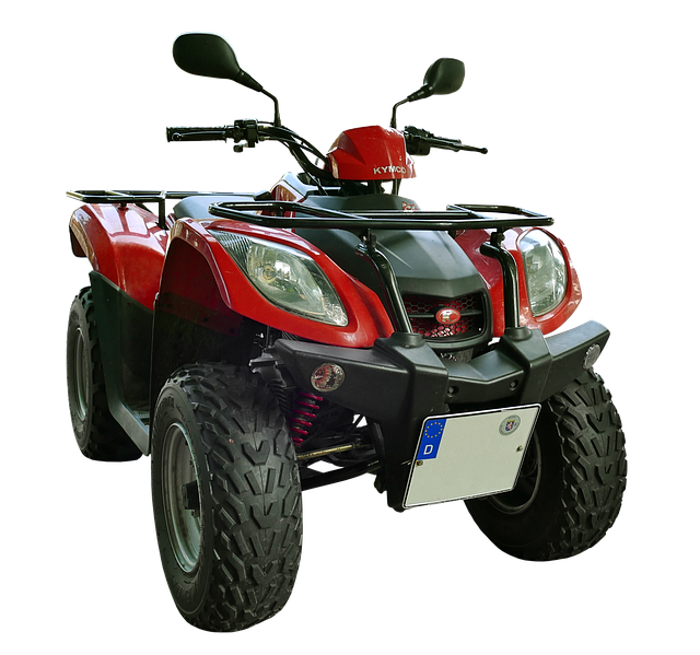 Get Expert Help with Complex Vehicle Registration Renewal Wait Times