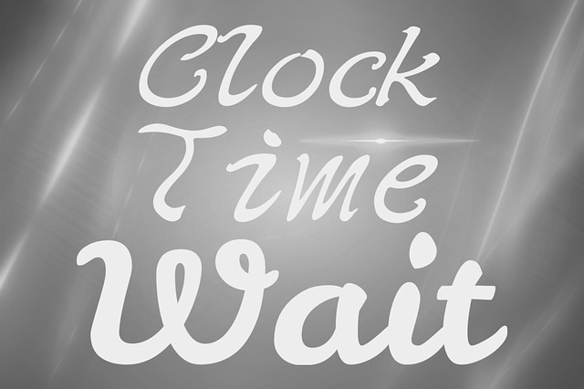 Vehicle registration renewal wait times
